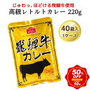 【半額!スーパーSALE】 飛騨牛カレー220g (40袋入り・1ケース) レトルトカレー レトルト 保存食 非常食 備蓄食 景品 お祝い 記念品 ギフト プチギフト 業務用 お徳用 カレー レトルトカレー 牛 飛騨牛 防災 常温保存 贈り物 レトルト食品 備蓄 食料 送料無料