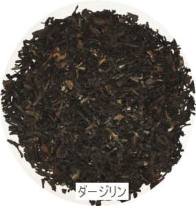 紅茶リーフティー　ダージリン100g/ コーヒーメール