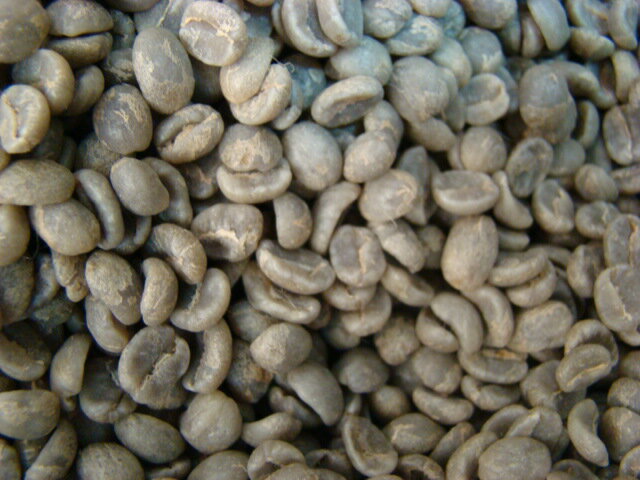 コーヒー生豆　グァテマラ ブエナビスタ農園 　1kg