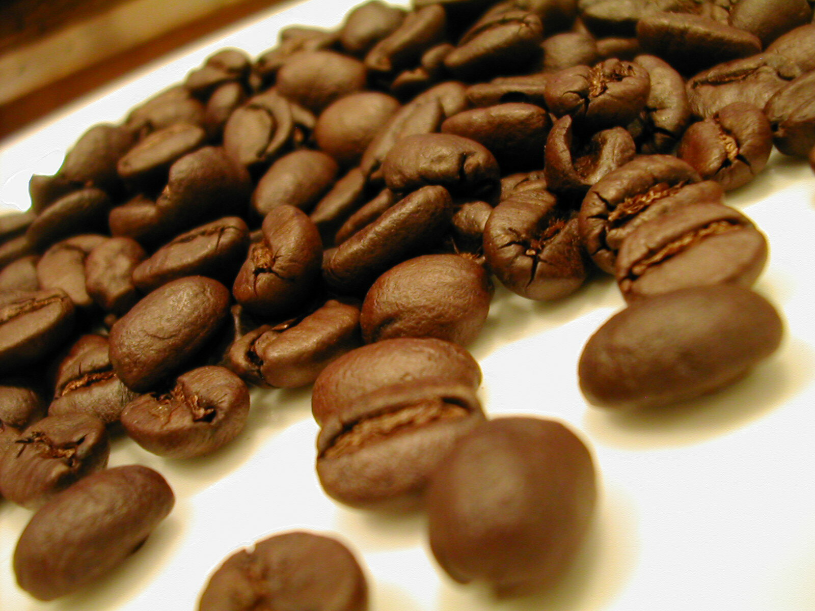 旬のスペシャルティー コーヒー豆 