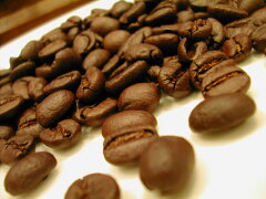 https://thumbnail.image.rakuten.co.jp/@0_mall/coffee-market/cabinet/ikou_20100113/img10594807021.jpg