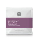 ●200g グアテマラ ブエナビスタ Guatemala Buena Vista( スペシャルティコーヒー )