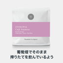 ●100g エチオピア アナソラ Ethiopia Anasora(スペシャルティ・コーヒー)(Specialty Coffee)[C]