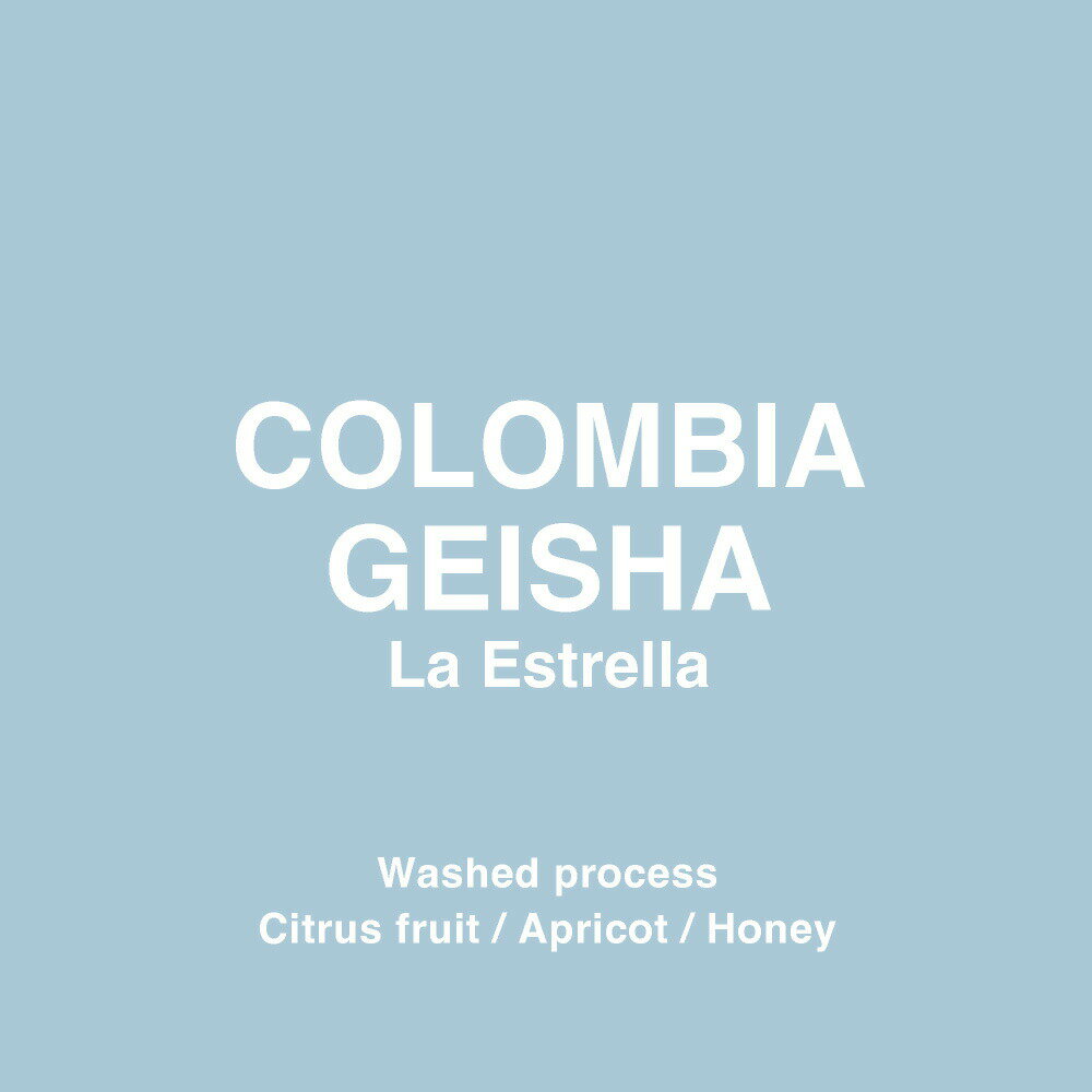 ●100g コロンビア ゲイシャ エストレージャ Colombia Geisha Estrella(スペシャルティ・コーヒー)(Specialty Coffee)[C] 2