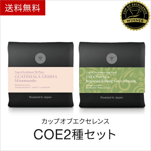 ●送料無料 最高中の最高 カップオブエクセレンス コーヒー 飲み比べ セット E 100gx2種 Indonesia Guatemala COE スペシャルティコーヒー コーヒー豆 ※同梱不可 [C]TCR