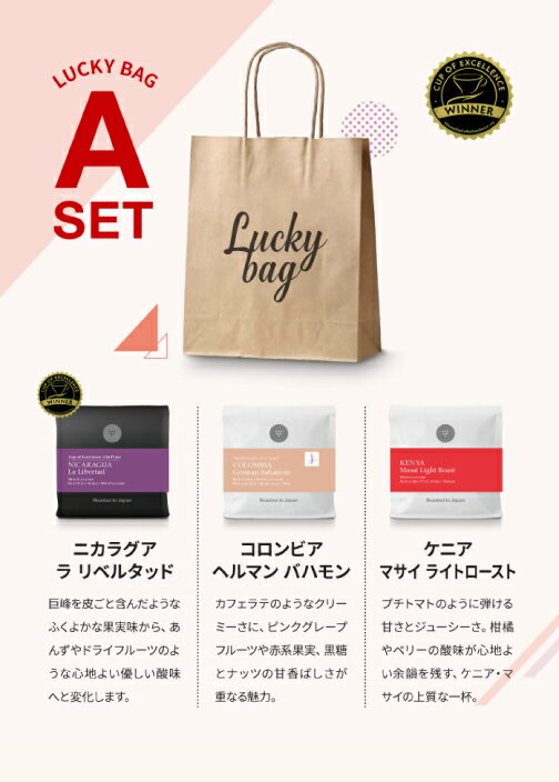●300g コーヒー豆 新Lucky Bag A 100g × 3種類入り ラッキーバッグ 福袋 スペシャルティコーヒー [C]TCRのサムネイル