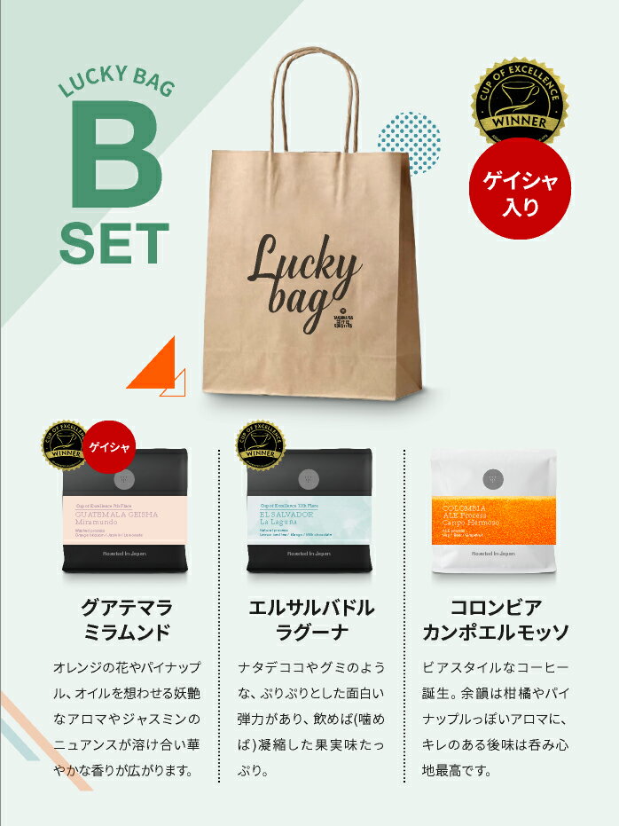 ●600g 新Lucky Bag B2( 200g×3種類入り ) ラッキーバッグ コーヒー 福袋 C (スペシャルティ コーヒー)(Specialty Coffee) C