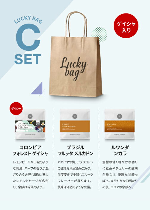 ●300g コーヒー豆 新Lucky Bag C 100g × 3種類入り ラッキーバッグ 福袋 スペシャルティコーヒー [C]TCRのサムネイル