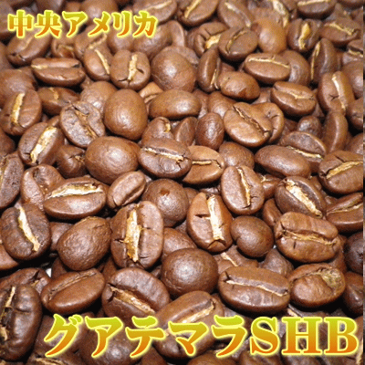 ‘美味しいコーヒー’グアテマラ　SHB (500g)
