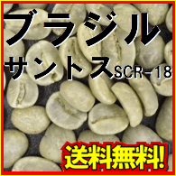 コーヒー 生豆 ブラジル サントス No.2 / SC-18 (1kgx5) 送料無料