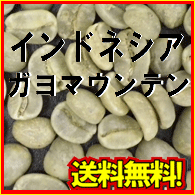 【コーヒー生豆】インドネシア　ガヨマウンテン　300g