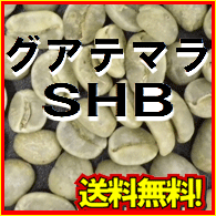 コーヒー 生豆 グアテマラ SHB / (1kg) 送料無料