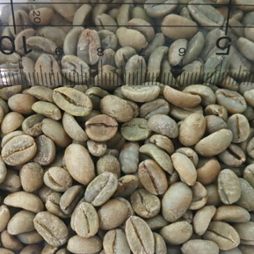 【コーヒー生豆】エチオピアシダモG-4/30kg【for Professional】(15kgx2)