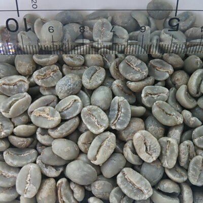 【コーヒー生豆】グアテマラ　SHB　10kg　【送料無料】(1kgx10)