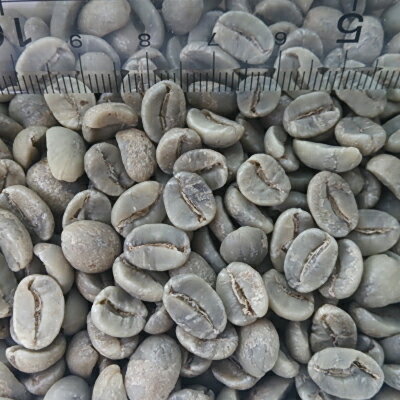 コーヒー 生豆 キューバ アルツーラ 20kg 送料無料