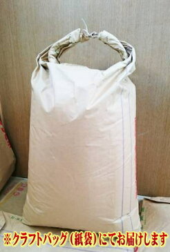 【コーヒー生豆】ブラジルサントスNo.2/SC-18 30kg【for Professional】(15kgx2)