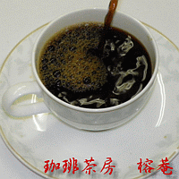 ‘美味しいコーヒー’ブラジルサントス（SCR-18）　100g【HLS_DU】