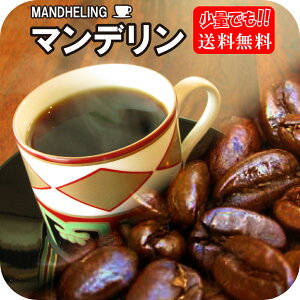 マンデリン コーヒー豆 送料無料 森林やハーブのような香り！インドネシア・スマトラ・マンデリンG1スペシャル 中深煎り-250g 25杯〜40杯 メール便 レギュラーコーヒー アラビカ豆 コヒー豆 ポイント消化 内祝い マンデリン 母の日 父の日 お礼 お返し グルメ