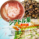 コーヒー豆 エスプレッソ用 送料無料 深煎りのコクと苦味がビターチョコ カフェラテ カプチーノ用 シアトルブレンド 250g メール便 エスプレッソ豆 粉 レギュラーコーヒー 内祝い 母の日 父の日 お礼 敬老会 母の日 父の日 お返し 男性 グルメ スーパーセール 豆