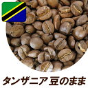 送料無料 コーヒー豆　キリマンジャロ 120g 上品な酸味と