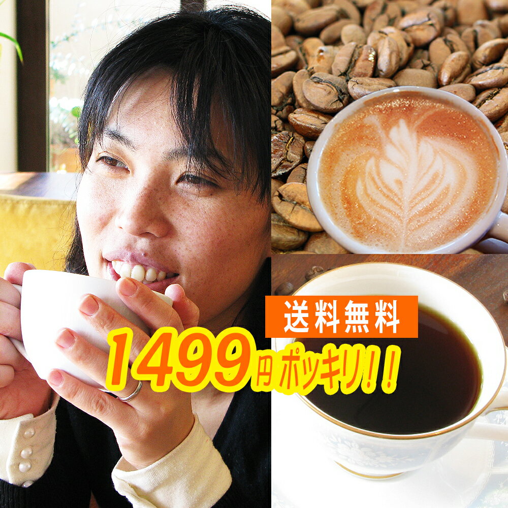 送料無料 福袋　コーヒー豆 感動コーヒーお試し福袋!!★グァテマラ150g.ブラジル150g メール便 珈琲豆 こーひー こーひーまめ 粉 業務用 こーひ こーひまめ 食品 レギュラーコーヒー アラビカ豆 コヒー豆 ポイント消化 男性 グルメ スーパーセール