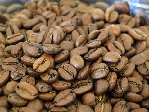 送料無料 ブラジル 500g コーヒー豆 