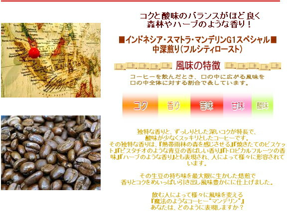 コーヒー豆 夜に飲みたいコーヒー福袋 マンデリ...の紹介画像3