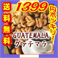 グアテマラ/ガテマラ　送料無料■豊かなコクと甘みに芳醇な香り！でもアフターテイストはとっても爽やか！■グァテマラSHB■中深煎り250g 25杯〜40杯【メール便】コーヒー豆 レギュラーコーヒー アラビカ豆 コヒー豆 ポイント消化 内祝い お年賀 バレンタイン 男性 グルメ