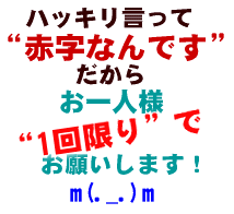 【初回限定】500円ポッキリ ぽっきり!!■送料無料■ コーヒー豆お試しセット！幻の直火焙煎機ブタ釜コーヒー！ブラジル120g＿【メール便】 レギュラーコーヒー アラビカ豆 コヒー豆 ポイント消化 内祝い お中元 男性 御中元 グルメ