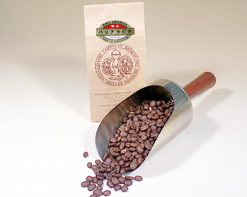 焙煎コーヒー豆　バリ・アラビカ 神山　インドネシア 100g【HLS_DU】