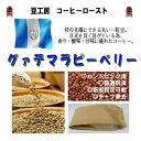 コーヒー豆 送料無料---グアテマラピーベリー 生豆500g コーヒーロースト--- ランク 1 スペシャリティー 美味しい,浅煎り,深入り,中深入り,中煎り-焼き立て-苦味 香り ブレンド エスプレッソ,粉,アイス,クイックポスト-お届け