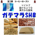 コーヒー豆 送料無料---ガテマラSHB 生豆500g コーヒーロースト--- ランク 1 スペシャリティー 美味しい,浅煎り,深入り,中深入り,中煎..