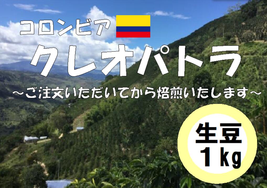 コーヒー豆　業務用　大容量　送料無料　コロンビア　クレオパトラ　生豆　1kg