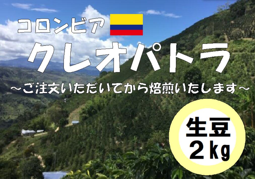 コーヒー豆　業務用　大容量　送料無料　コロンビア　クレオパトラ　生豆　2kg