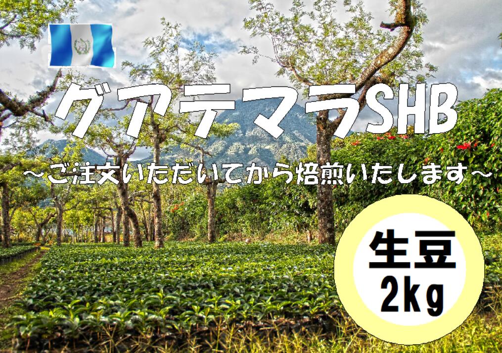 Other Regions - コーヒー豆　業務用　大容量　送料無料　グアテマラSHB　生豆　2kg
