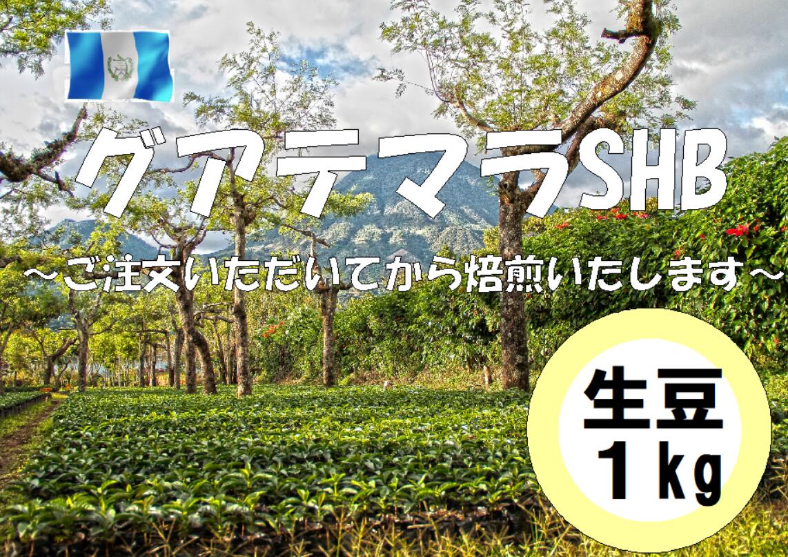 商品情報 名称 コーヒー豆内容量 生豆1kg焙煎後、約800g原材料 グアテマラSHB保存方法 密閉容器に入れ、陽の当たらない場所で保管してください賞味期限 焙煎日から1年原産国名 グアテマラ輸入者 株式会社コーヒーロースト神奈川県横浜市　オーダー自家焙煎でご注文いただいてから焙煎致します。 2