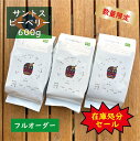 【在庫処分セール】 ブラジル サントスピーベリー 600g ／ コーヒー豆 激安 コーヒー 自家焙煎 珈琲豆 焙煎豆 焼きたて 煎りたて オーダー焙煎 本格コーヒー 焙煎屋 焙煎店 選べる 焙煎 コーヒー粉 人気 話題 ブラジル産 シングルオリジン オフィス オフィスコーヒー