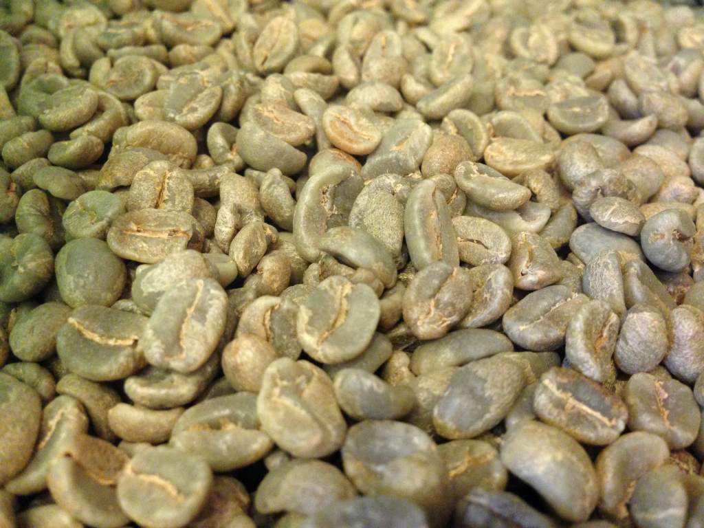 グアテマラコーヒー豆 ロハ 生豆1000gの紹介画像2