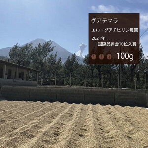 ●【2021】グアテマラ 国際品評会10位「エル・グアチピリン農園」【100g】|【月曜焙煎】【水曜焙煎】【金曜焙煎】||珈琲 コーヒー 美味しい コーヒー豆 グアテマラ 焙煎 珈琲豆 豆 エスプレッソ カップ・オブ・エクセレンス 国際品評会