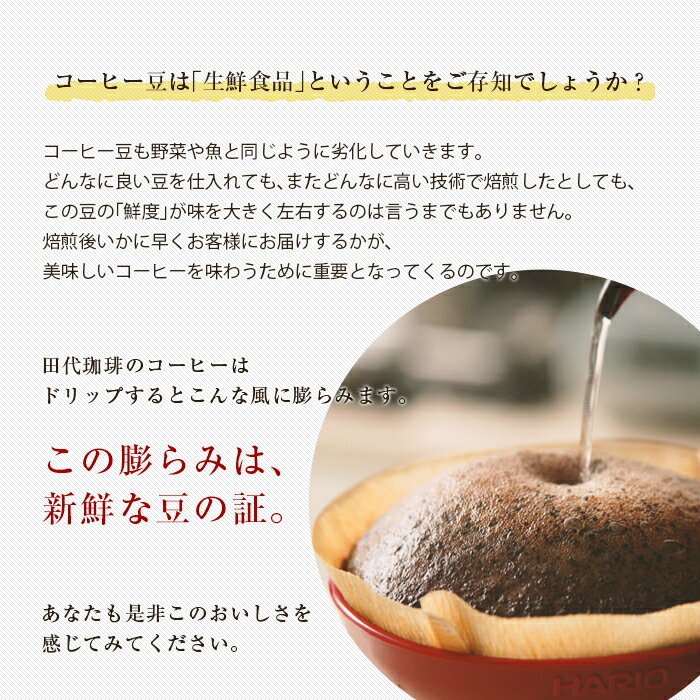 【送料無料 3月 月替】至高の味わいセット|コーヒー コーヒー豆 コーヒーメーカー 珈琲 珈琲豆 豆 焙煎豆 田代珈琲 コーヒー屋さん 焙煎即日発送 ドリップ 800g セット 80杯 レギュラーコーヒー ブレンド 限定コーヒー