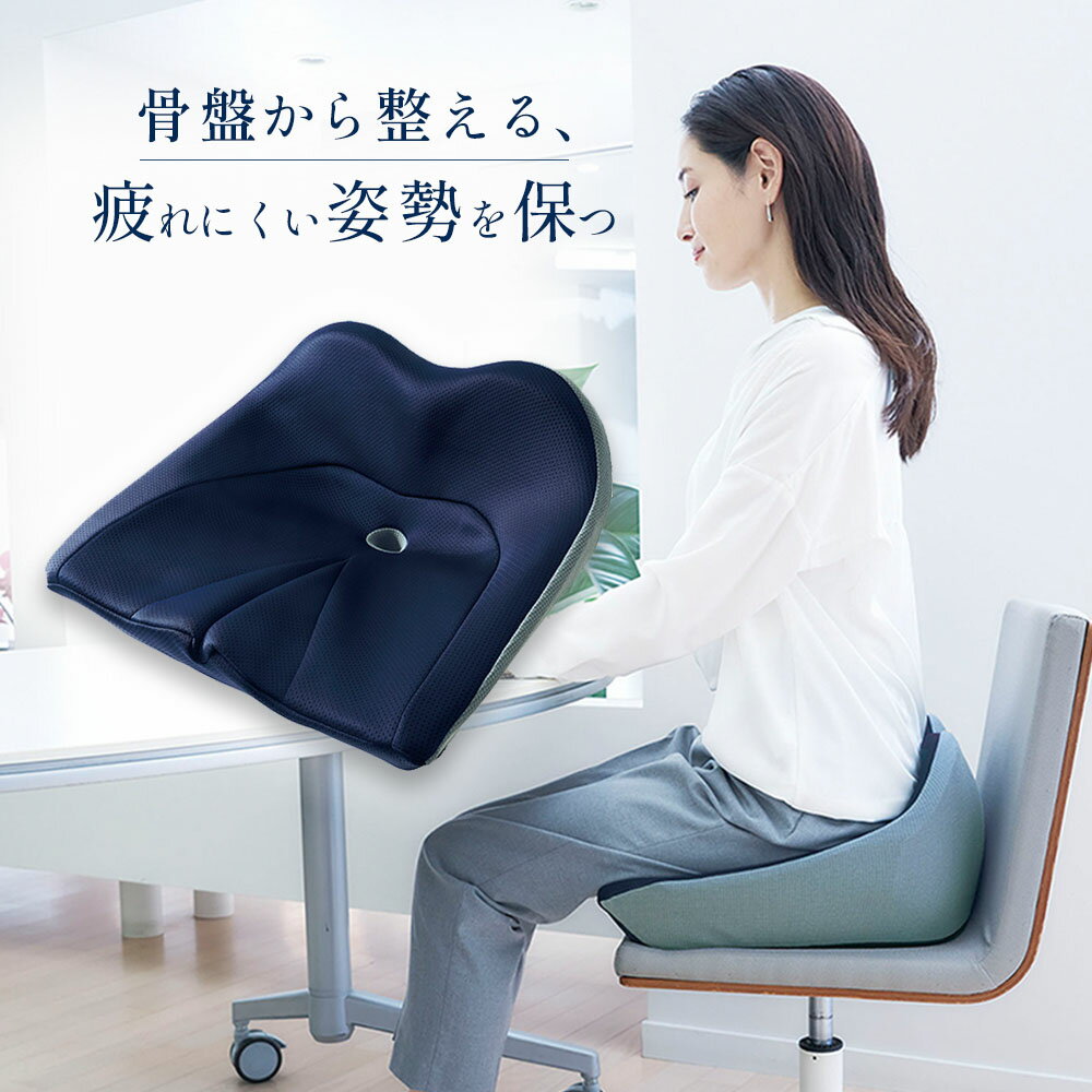 楽天市場】姿勢 クッション（カラーネイビー）（インテリア・寝具