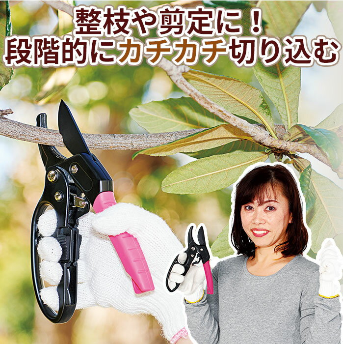 枝切ばさみ ラチェット式 3段階 フッ素加工 剪定はさみ 両利き 200mm ストッパー付 握りやすいカチカチ剪定ばさみ [コジット] 滑りにくい グリップ 疲れにくい 3段階 ラチェット機能 ラクラク…