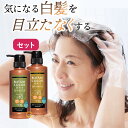 【白髪染め シャンプー】 Motto ボタニカラー シャンプー トリートメント ポンプ式セット 300ml 白髪染め カラー シャンプー トリートメント ヘナ ...