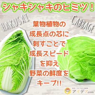 楽天市場 P3倍 野菜 鮮度保持 刺すだけ簡単 野菜長持ち 鮮度保持ピック ベジシャキちゃん 2個組 コジット 保存 キャベツ 白菜 レタス ブロッコリー カワイイ ピック 葉物野菜 買い置き 外出自粛 冷蔵庫保存 野菜が傷まない プレゼント交換 粗品 ギフト アイデア