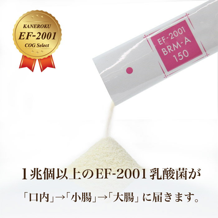 ベルムア150 30包パック オマケ付き EF-2001株乳酸菌　腸内　腸活　美腸 送料無料 3