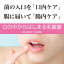 cogsup:10000002のサンプル画像3