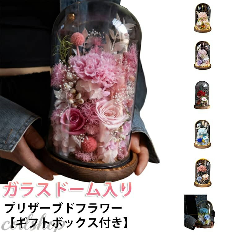 Opening, Transfer Congratulation - ボトルフラワー ローズ フラワーギフト ガラスドーム プリザーブドフラワー 花 2026 プレゼント アレンジメント ガラス ケース入り フレームフラワー 枯れない 母の日 記念日 誕生日 バラ 敬老の日 ギフト お祝い 結婚祝い インテリア 置物 おしゃれ