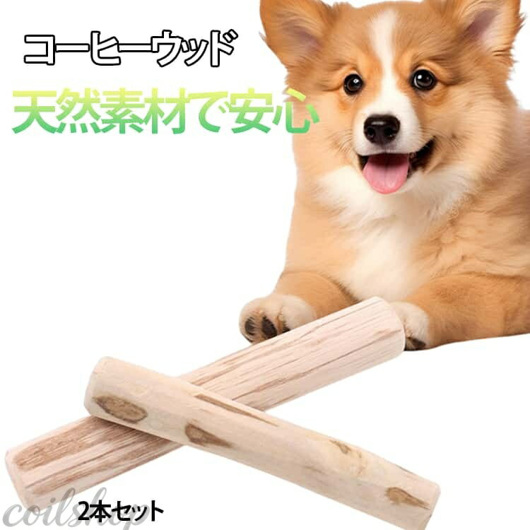 コーヒーウッド 2本セット 犬用 噛む おもちゃ 無添加 歯磨き 犬のおもちゃ カフェインフリー コーヒーウッド 天然木 デンタルケア コーヒーの木 歯のクリーニング 犬用おもちゃ 木製 木の棒 玩具 口臭対策 小型犬