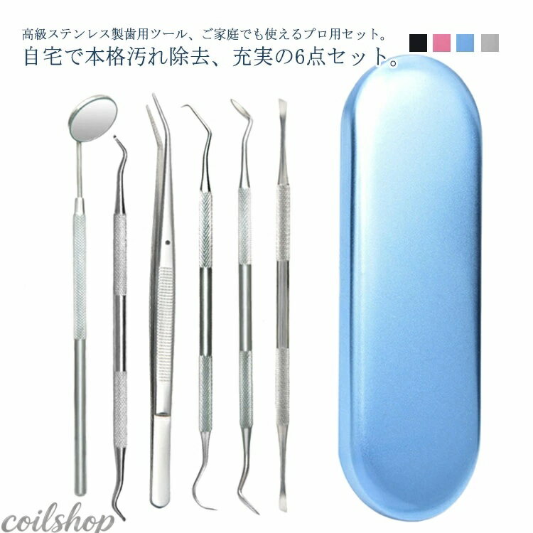 【2点500円クーポン】歯石取り 歯石とり 器具 自宅用 自分で取る スケーラー 歯垢 ...