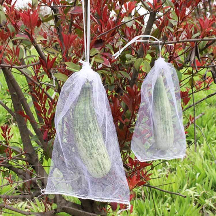 ネット 防虫 巾着袋 害虫鳥避け 鳥よけ網 果物袋 園芸ネット 桃 保護ネット 果樹用...
